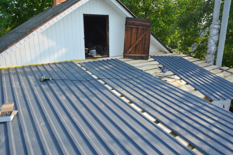 Metal Roof Painting